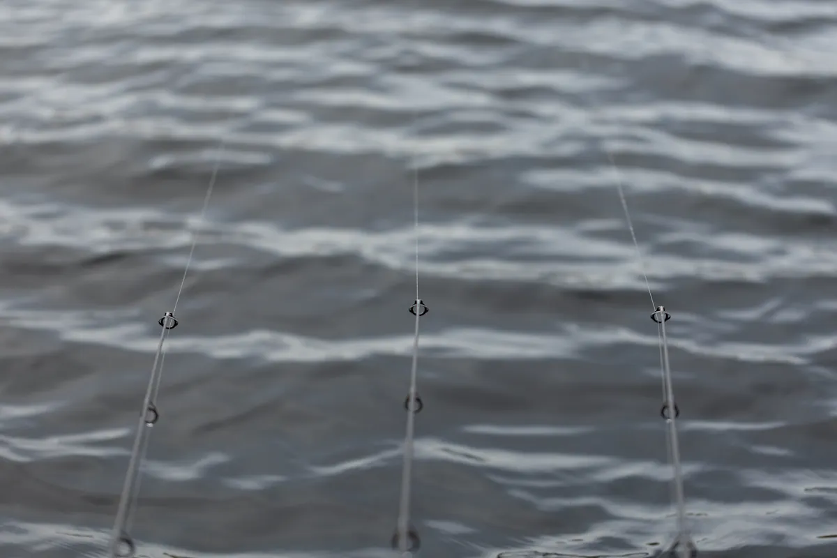 Distance sticks are an essential tool for accurate wrapping and clipping up at a set distance when fishing three rods close together on a spot