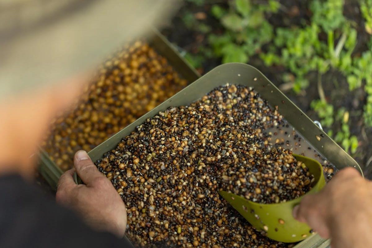 Hemp can also be used to clear an area, as the fish feed on it and rip up the bottom