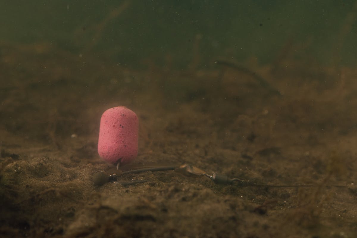 The Korda Underwater films have proven how good pink can be - including the Pink Almond Smoke Goo in one of the earlier films