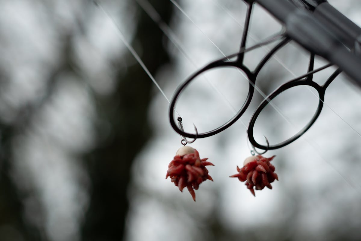 A bunch of maggots can be attached to a pop-up, wafter or similar, to make it more attractive