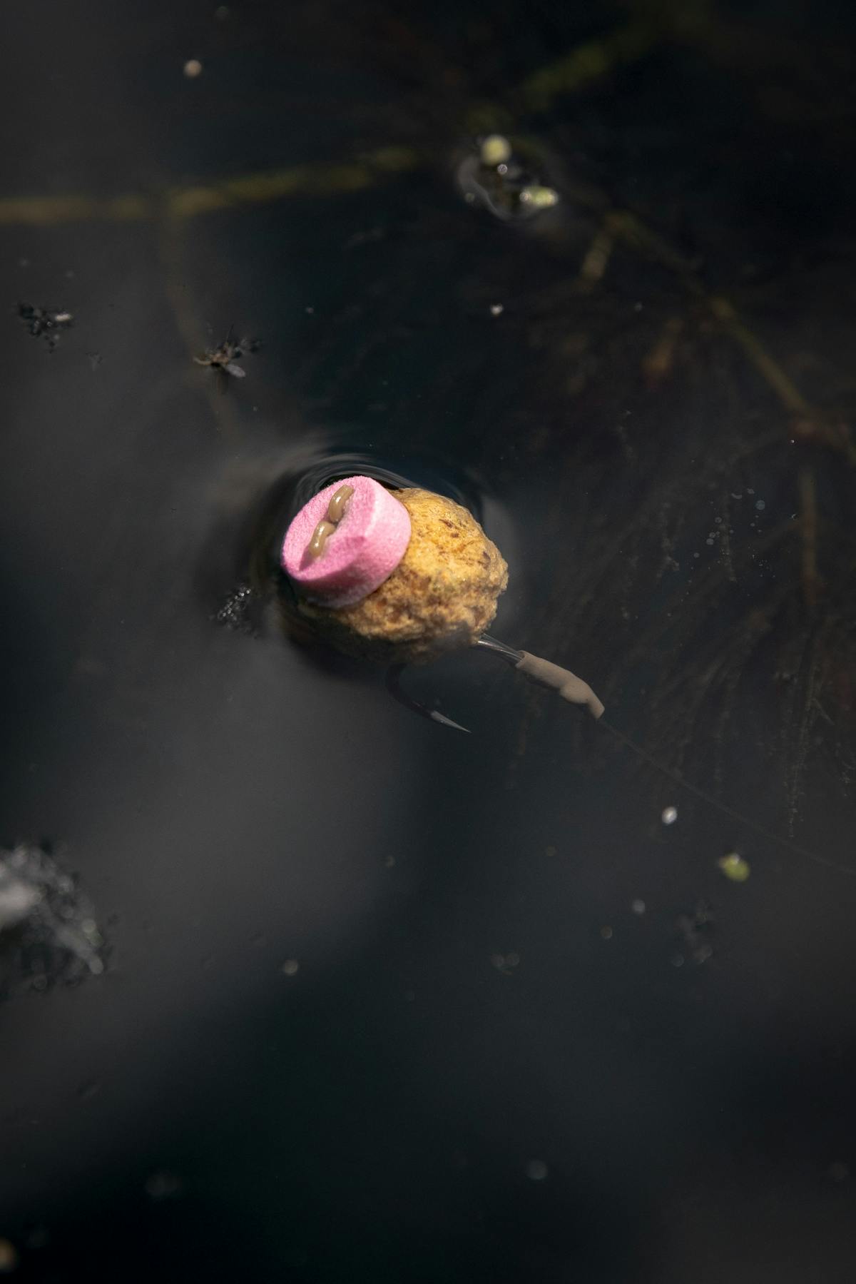 The buoyancy of your hookbait is determines how easy it is for a carp to suck it in, as well as how easily you can see it