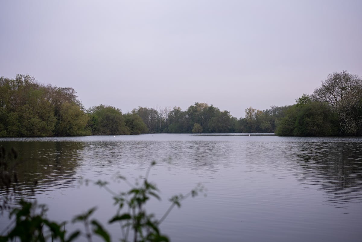 THE BRAID THAT LANDED THE BURGHFIELD COMMON