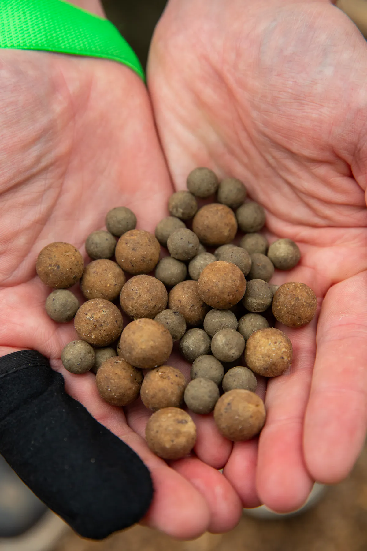Boilies come in all different types and sizes
