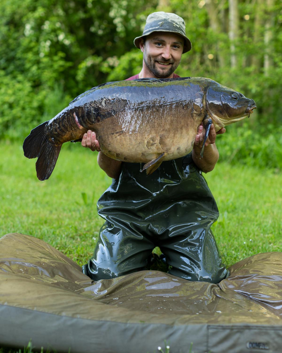 The Korda Compac Hybrid Mat relies on a medium density foam pad to protect the fish when on the bank