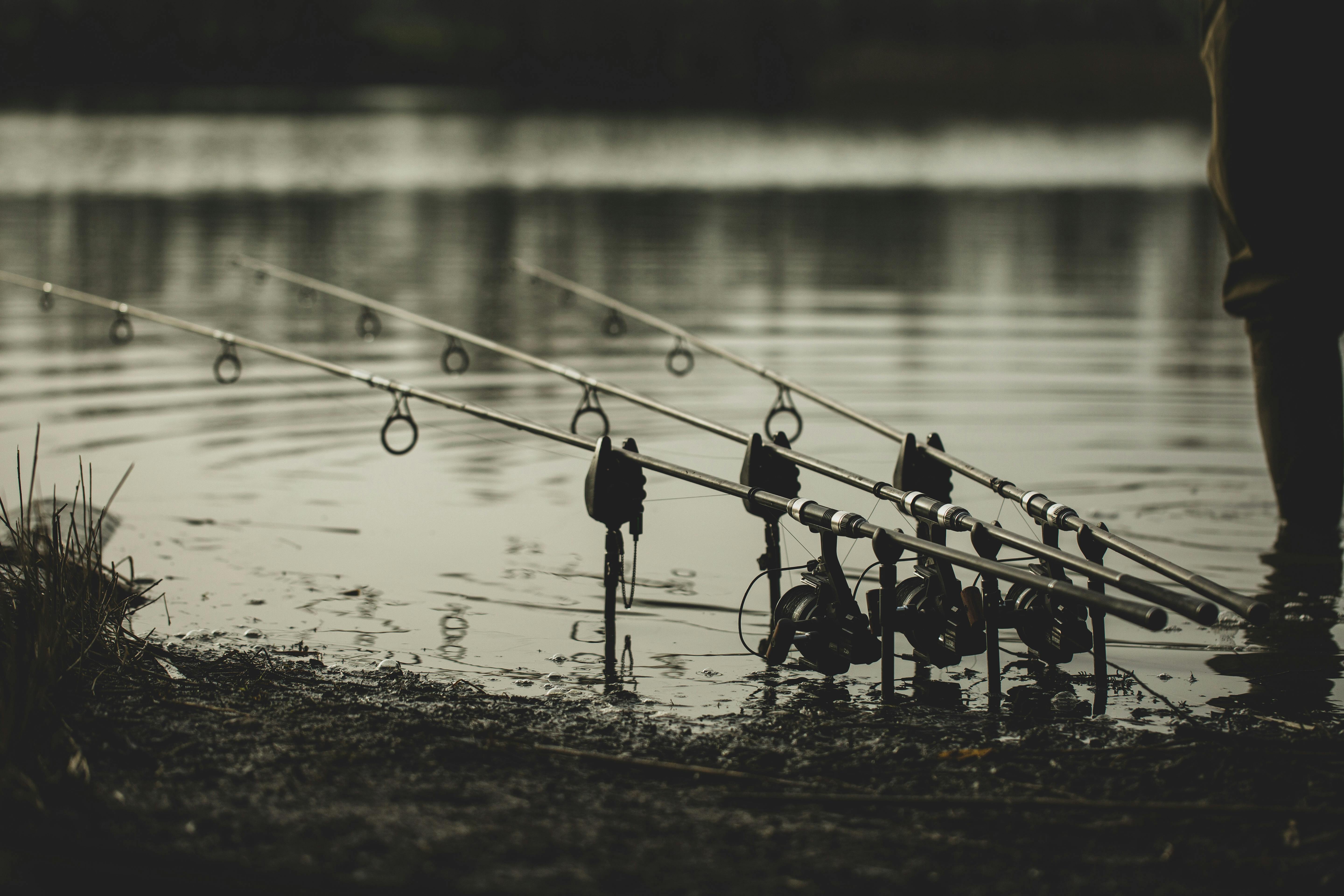 Scott Sweetman - Fishing In The Silt