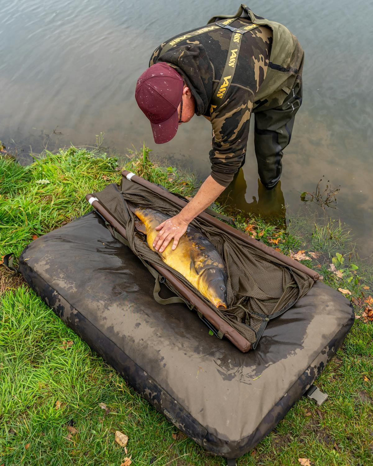 The Korda Compac Hybrid Mat has been optimised for carp wellbeing with 70mm medium density foam and a ring of polyballs