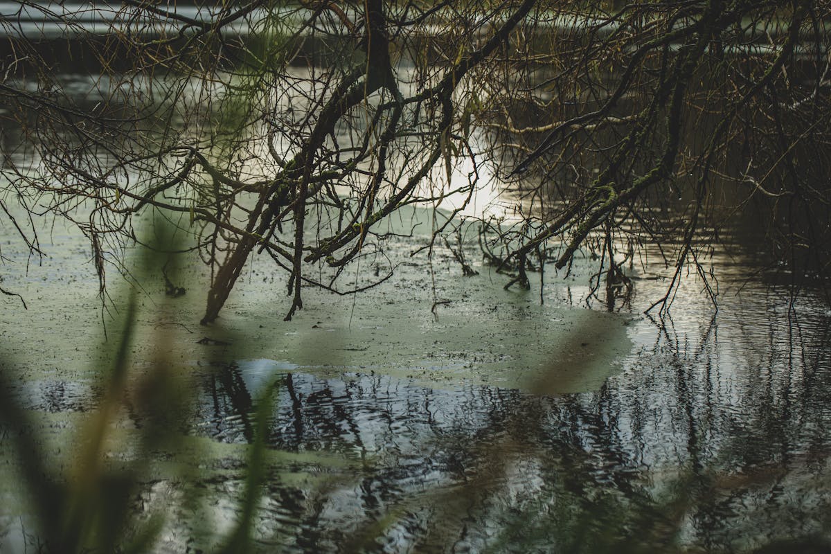 Snags and even weed can cause abrasions, and its performance will begin to deteriorate over time anyway until it finally starts to cost you fish
