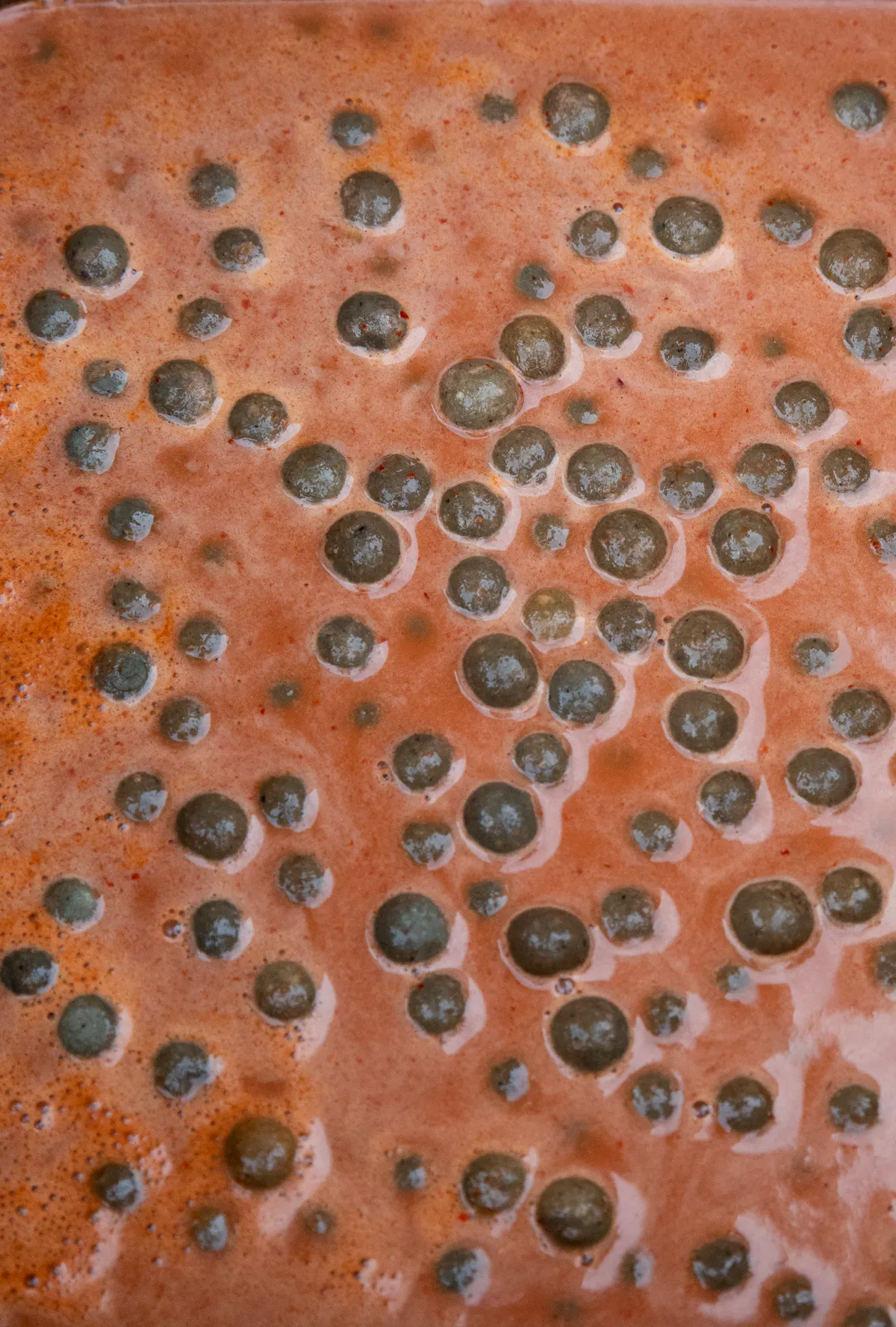 Boilies can be soaked in liquids, which can be made from all sorts of attractors