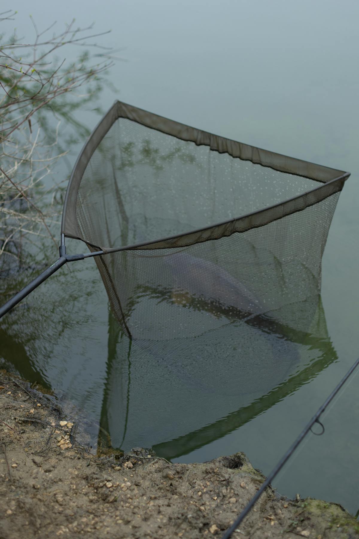 Carp landing net mesh needs to be deep enough for carp anglers to leave their catch safely resting in it