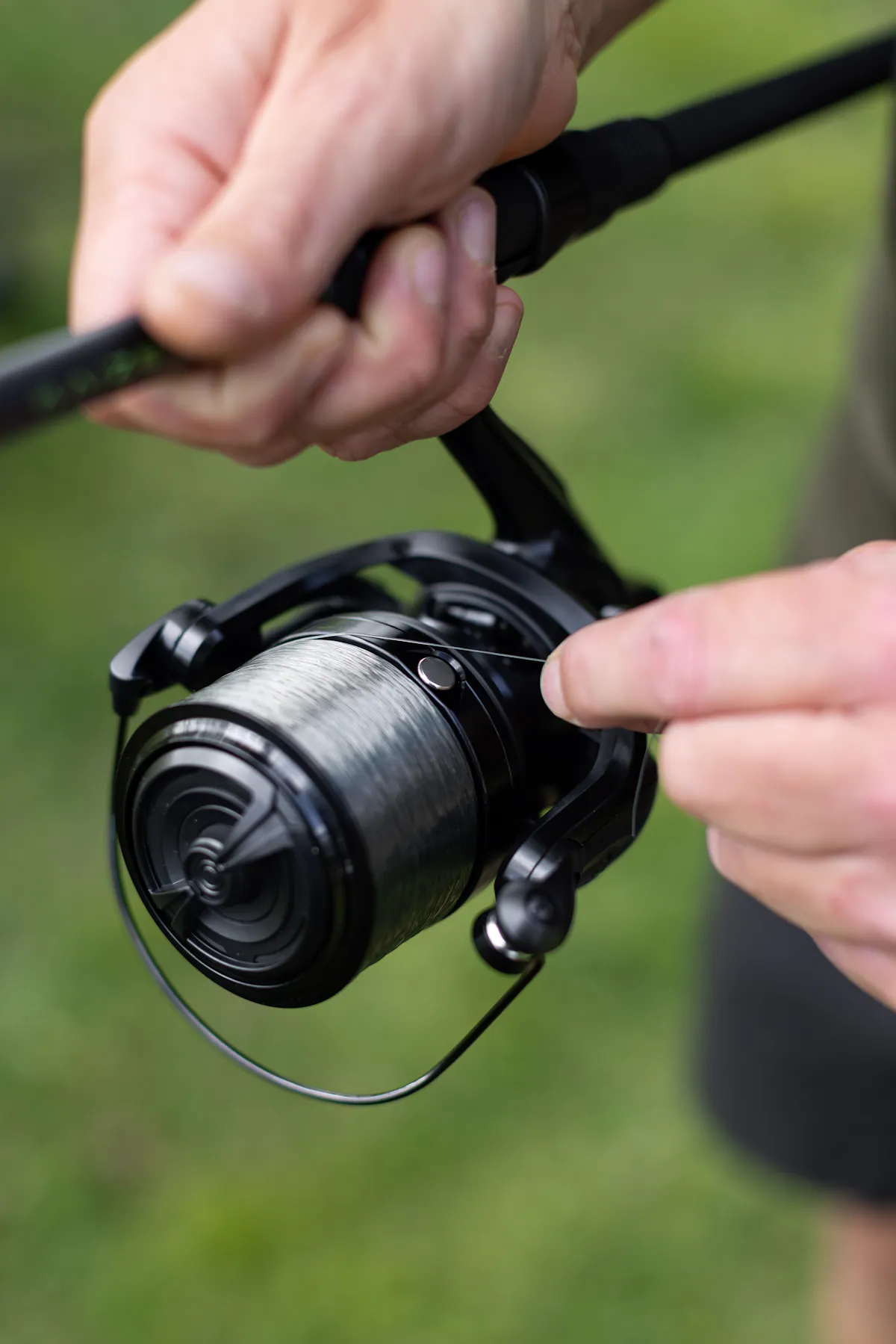 Some sort of reel with a good line capacity, and a bait runner or quick drag system is essential