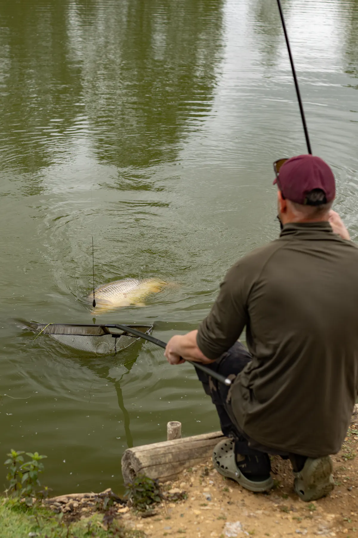 If you learn the basics of carp fishing, then you'll soon be catching fish and expanding your knowledge as you go