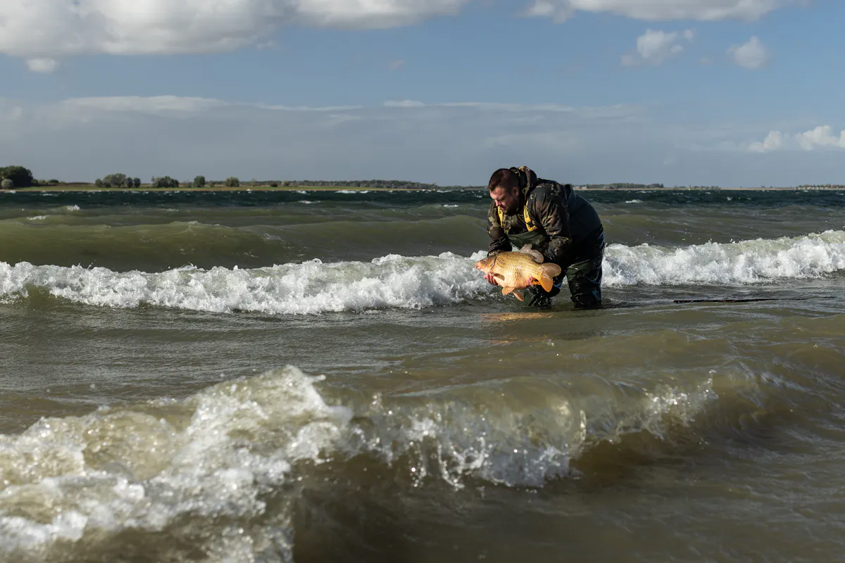 Never ignore what the wind is doing, although the fish won't always be on the end of it