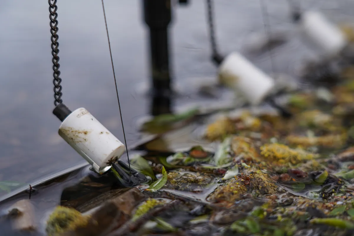 Slack line fishing helps to stop the carp bumping into it, but you need to ensure you still get an indication if your rig is picked up