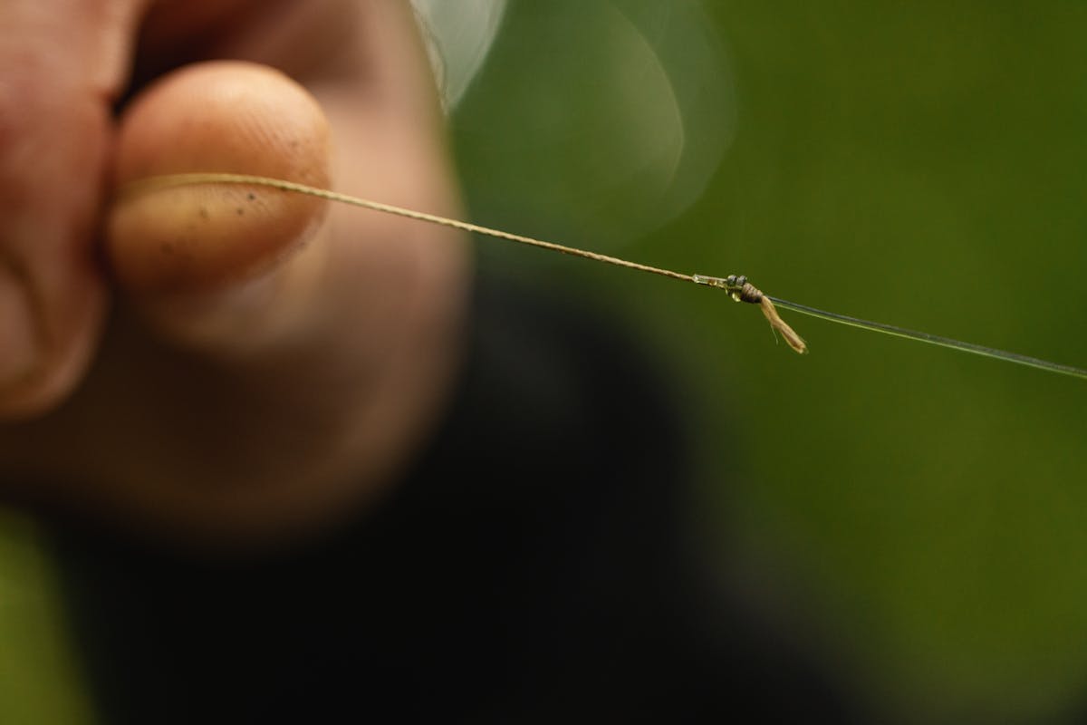 Some sort of nylon or fluorocarbon leader can be used to protect the fish, add more abrasion resistance, or even a little bit of stretch - leader knots can be tied neatly with braid