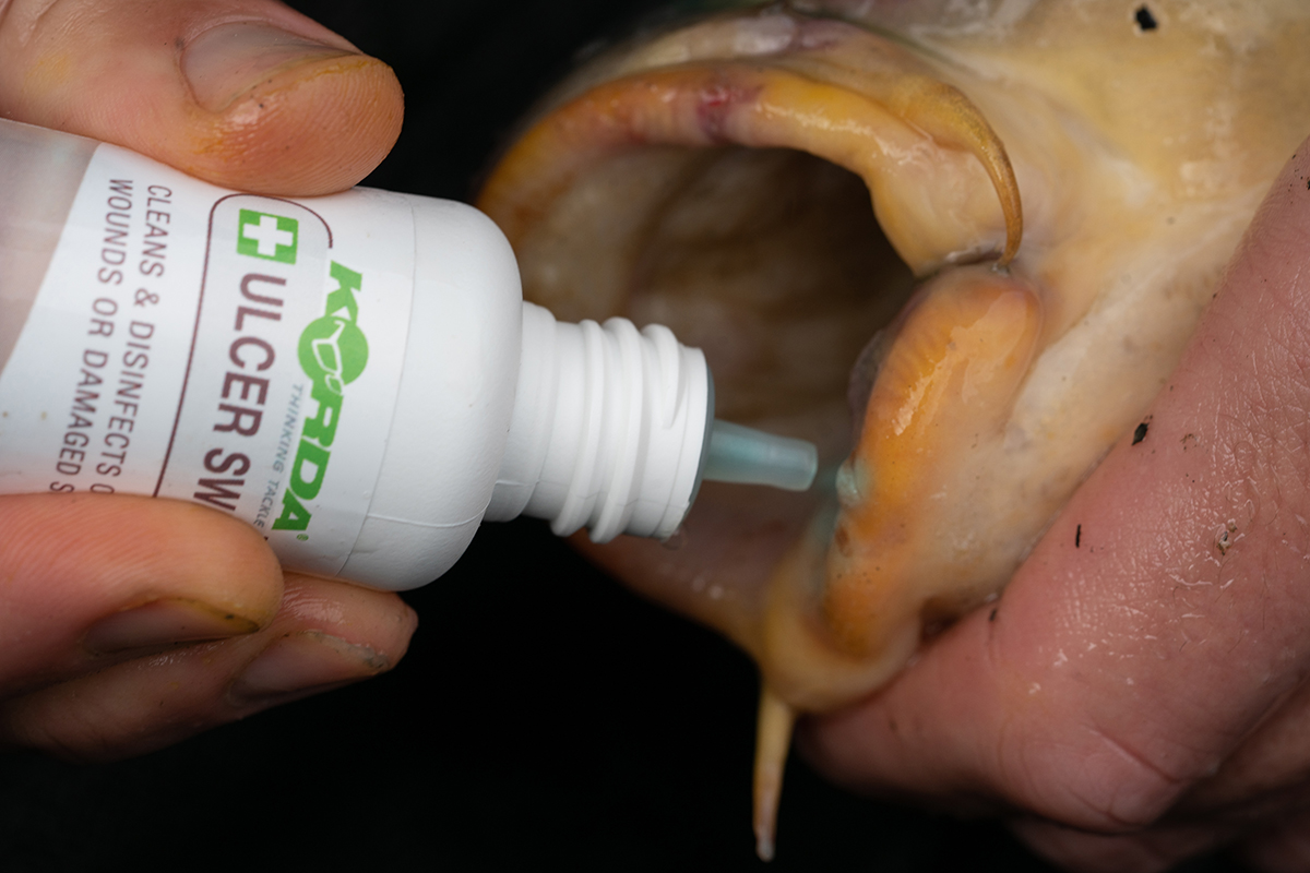 Korda Ulcer Swab to clean open wounds or treat lifted scales