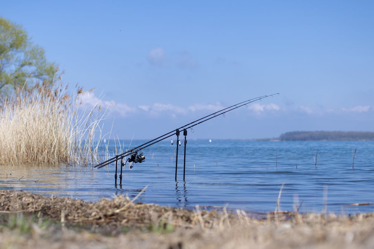 A stable set up reduces the chances of your rods being pulled into the lake