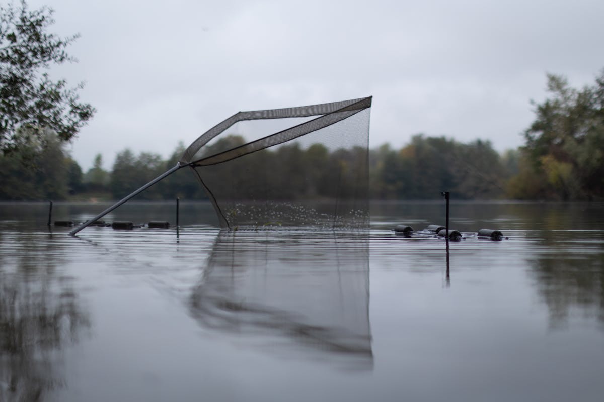 The mesh on the Korda landing nets is deep enough to retain a fish in, but shallow enough that it won't get caught up easily - with shallow and medium mesh options available