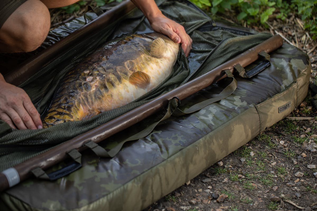 For carp fishing, you need to make sure your mat is big enough and thick enough to support the size of carp that you are targeting, and typically it will be either a flat mat or cradle design