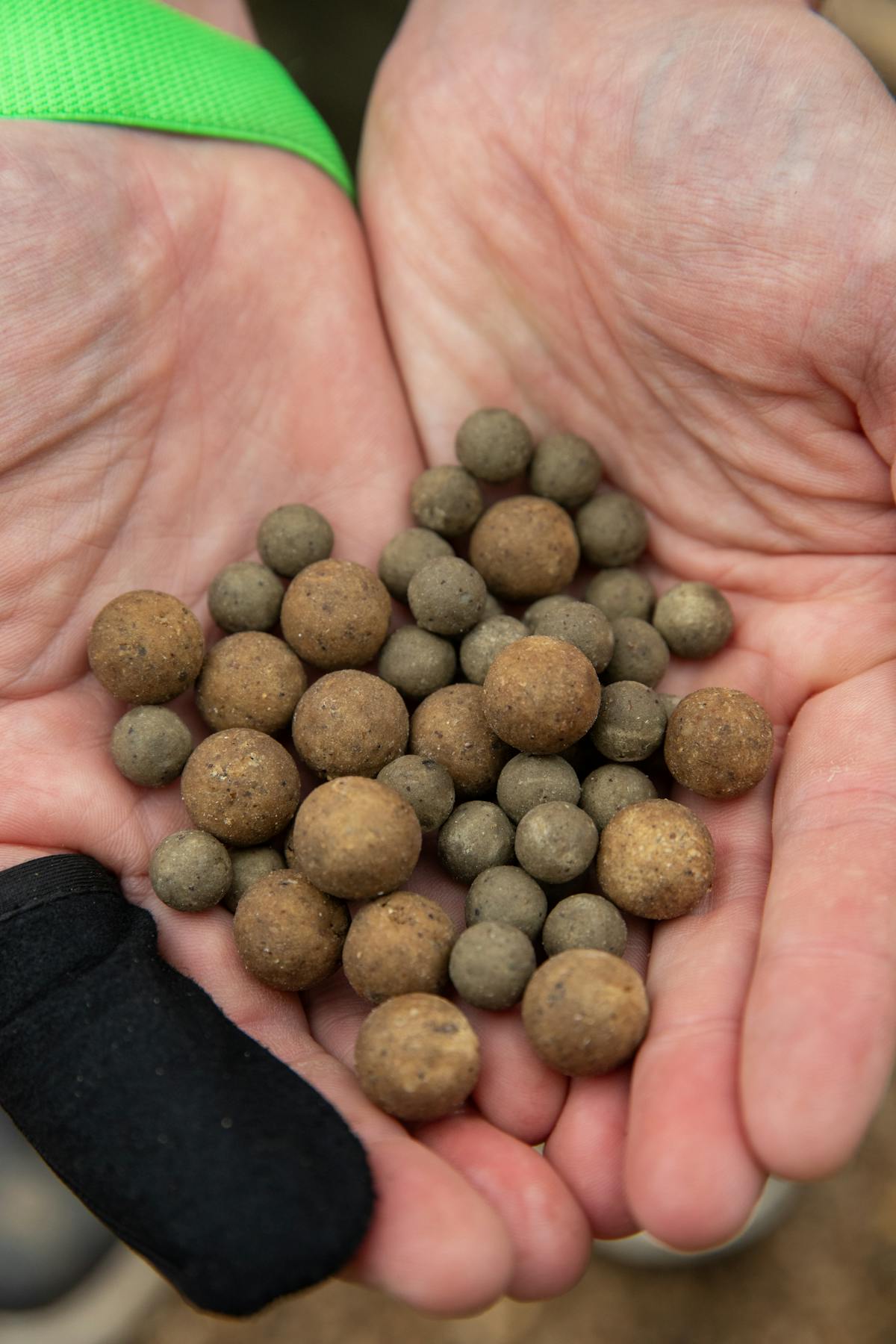 Whether you're using freezer boilies or shelf life boilies, always use the best quality boilies that you can afford and that will improve your catch rate