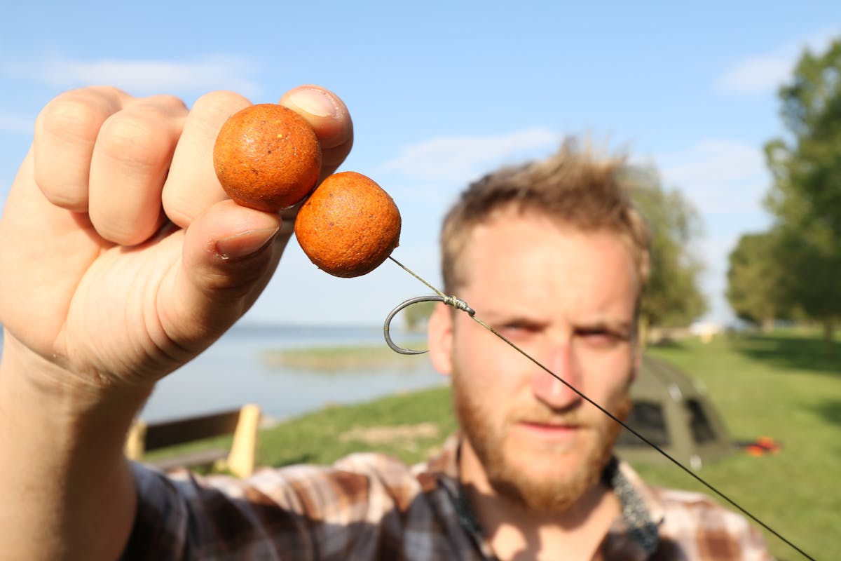 On some waters, like Lake Balaton in Hungary, large rock hard baits were needed to have a chance of catching any bigger carp