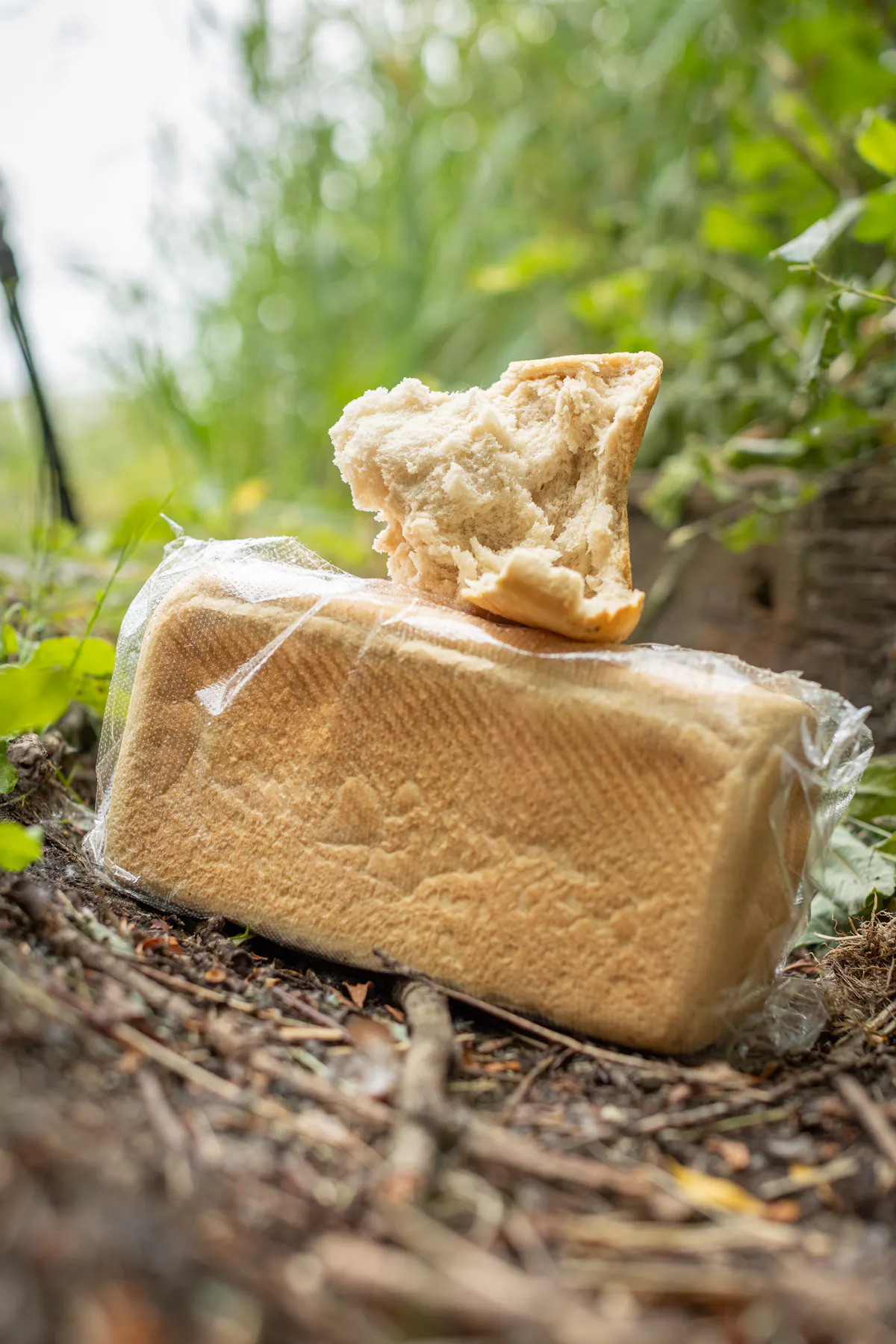 Bread is one of the oldest carp baits and is still deadly on the surface at times