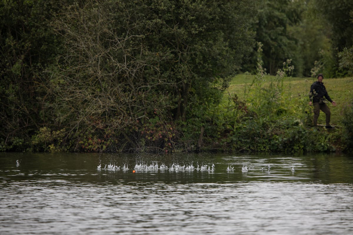 Loosefeeding carp bait around your hook bait helps to attract bigger fish to your baited area