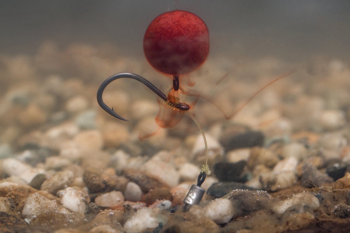 How far off the bottom your pop-up is fished will depend on the type of lakebed and also the rig you are using, but they can be very effective all year round