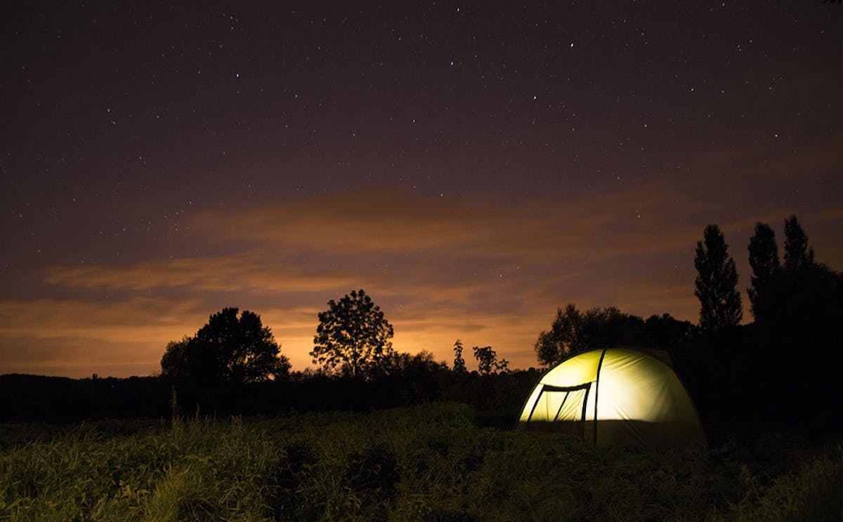You will need a head torch as proper lighting can help to land fish, and some anglers also like to use a bivvy light for night fishing
