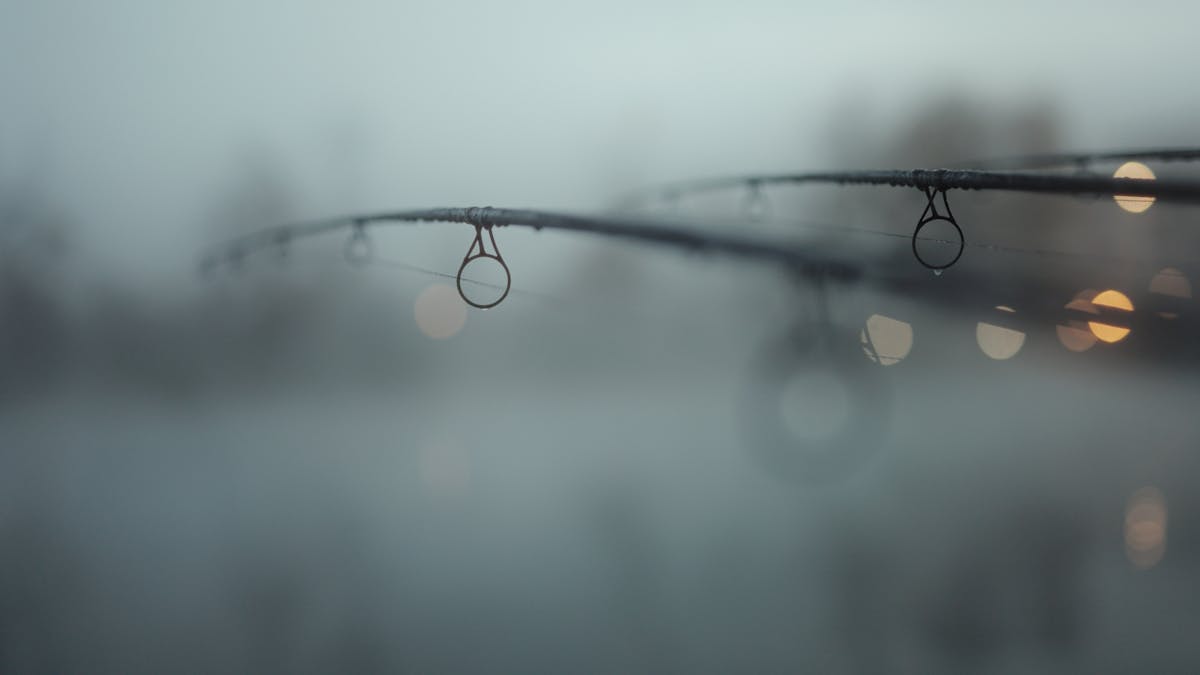 Large butt rings allow the line to cone off of the spool on big pit reels and pass through with minimal contact with the carp rod blank during casting