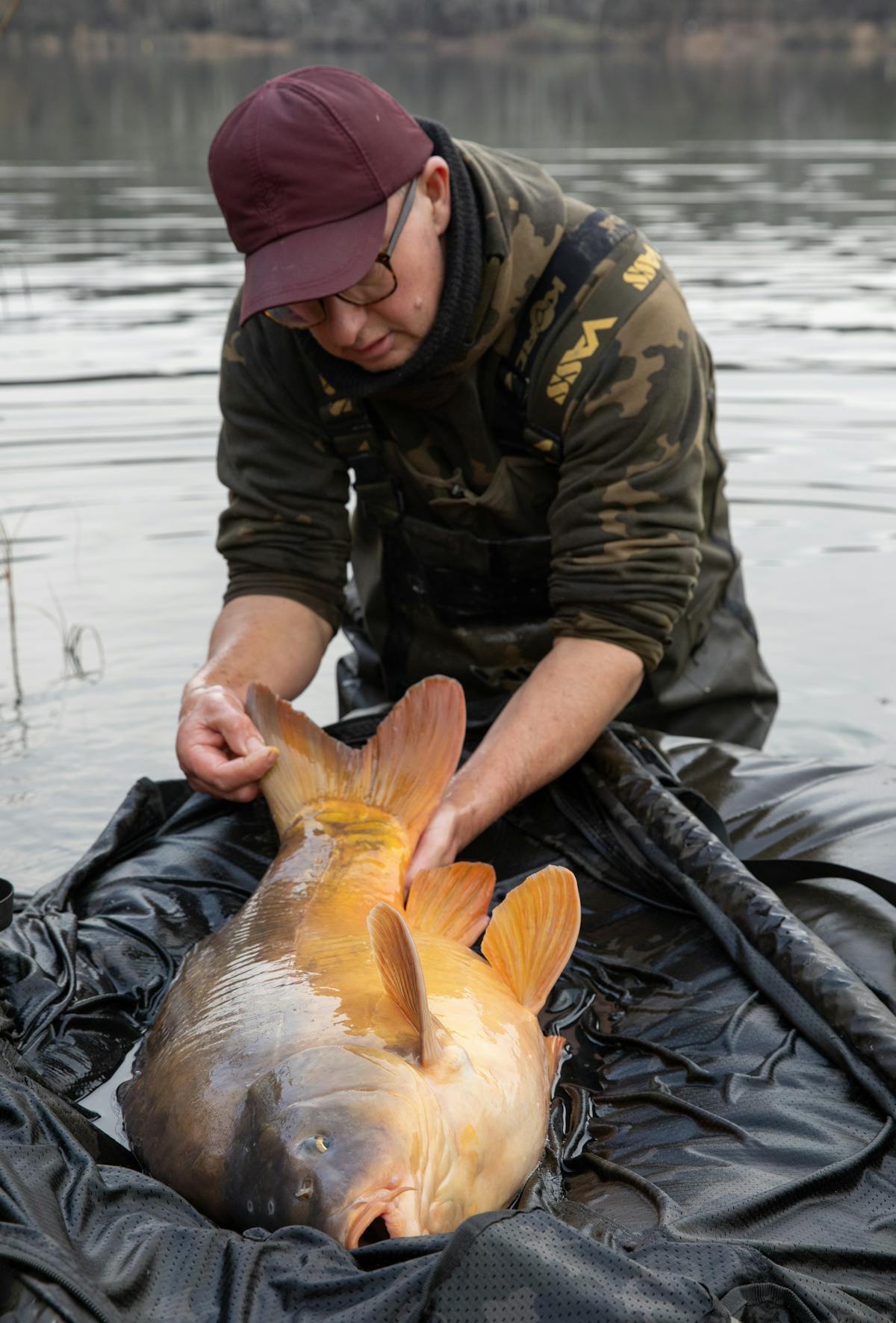 Fish care is essential in carp fishing, and we can't put a price on the health of the fish that we catch, and fisheries want to ensure their stock stays in as good a condition as possible