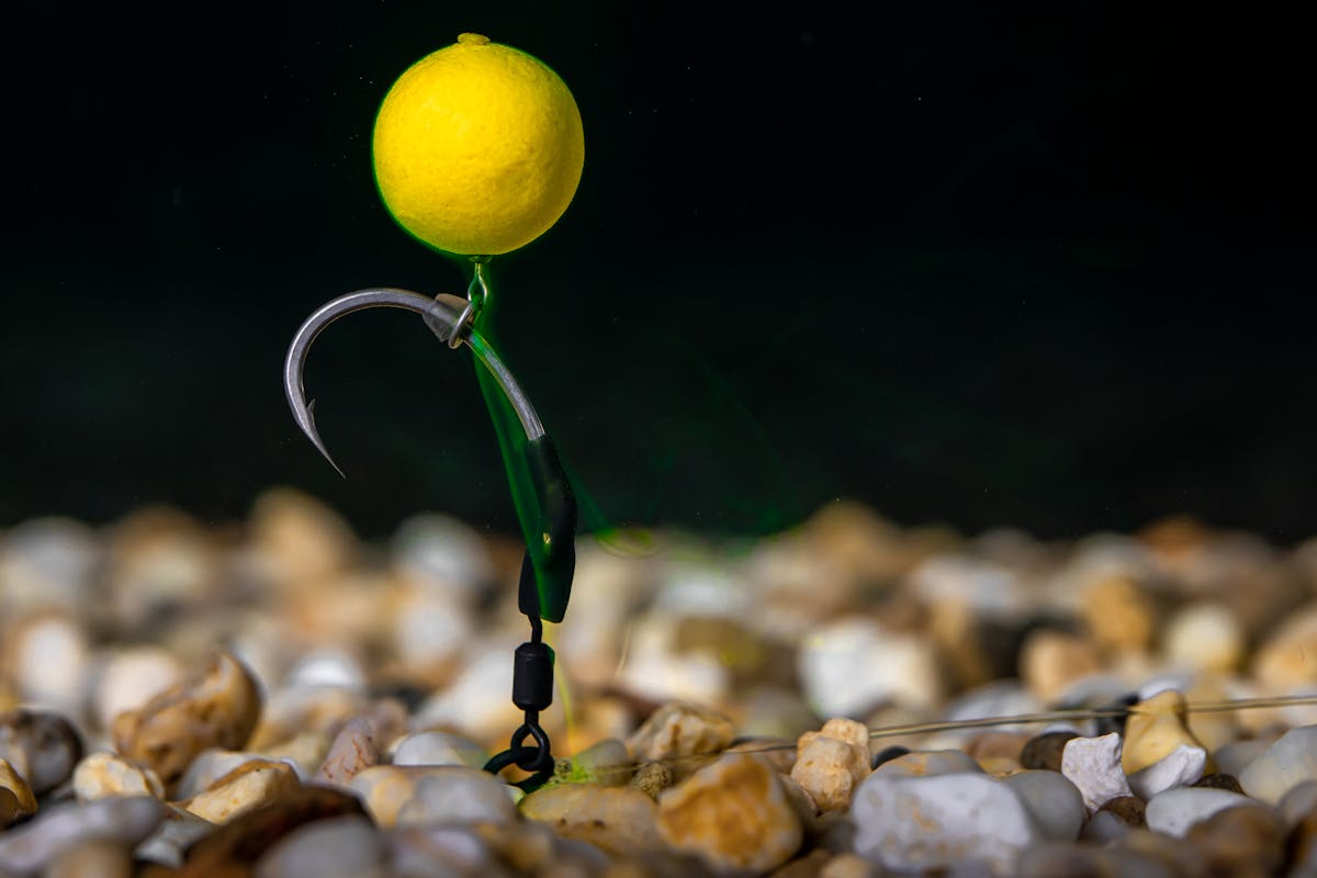 Carp fishing rigs like the ronnie rig that may appear complicated but are actually very easy to set up and change the hook regularly - you can even re-use the hook bead, kicker, and rig ring or micro swivel!