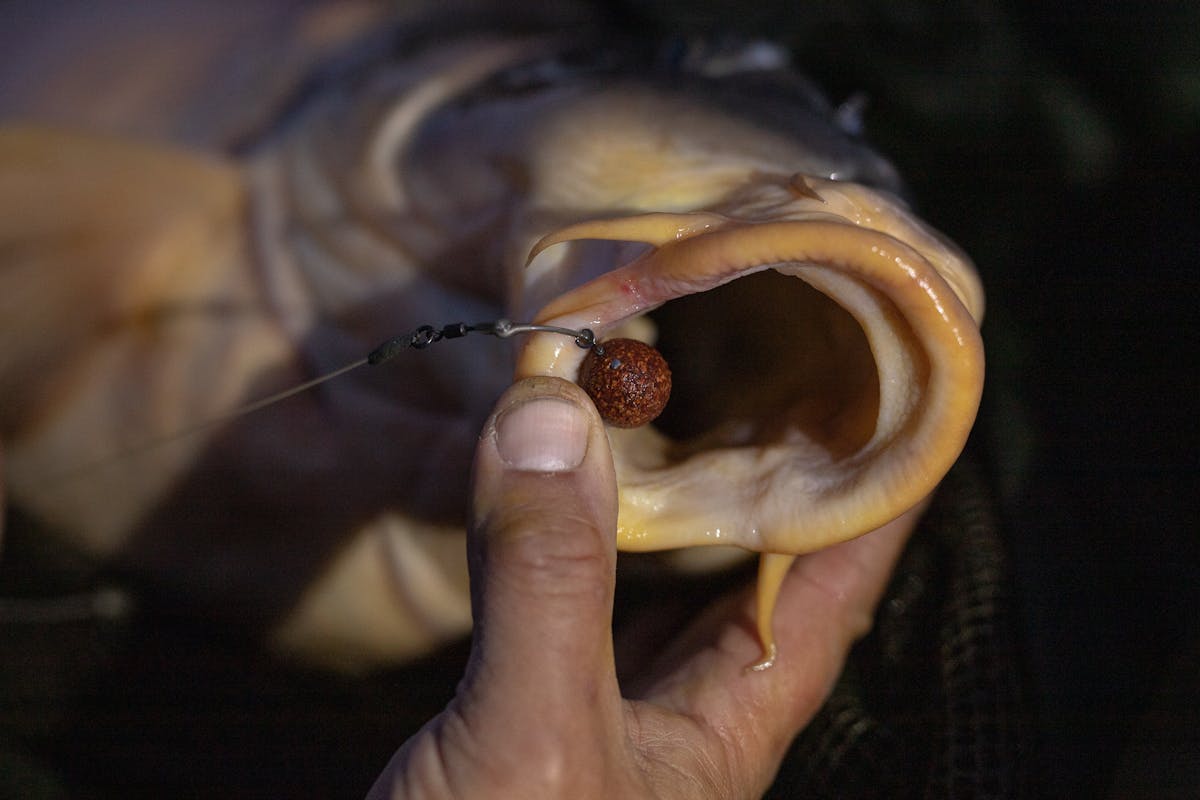 The right hook, rig and other terminal tackle should provide an excellent hook hold in the fish's mouth