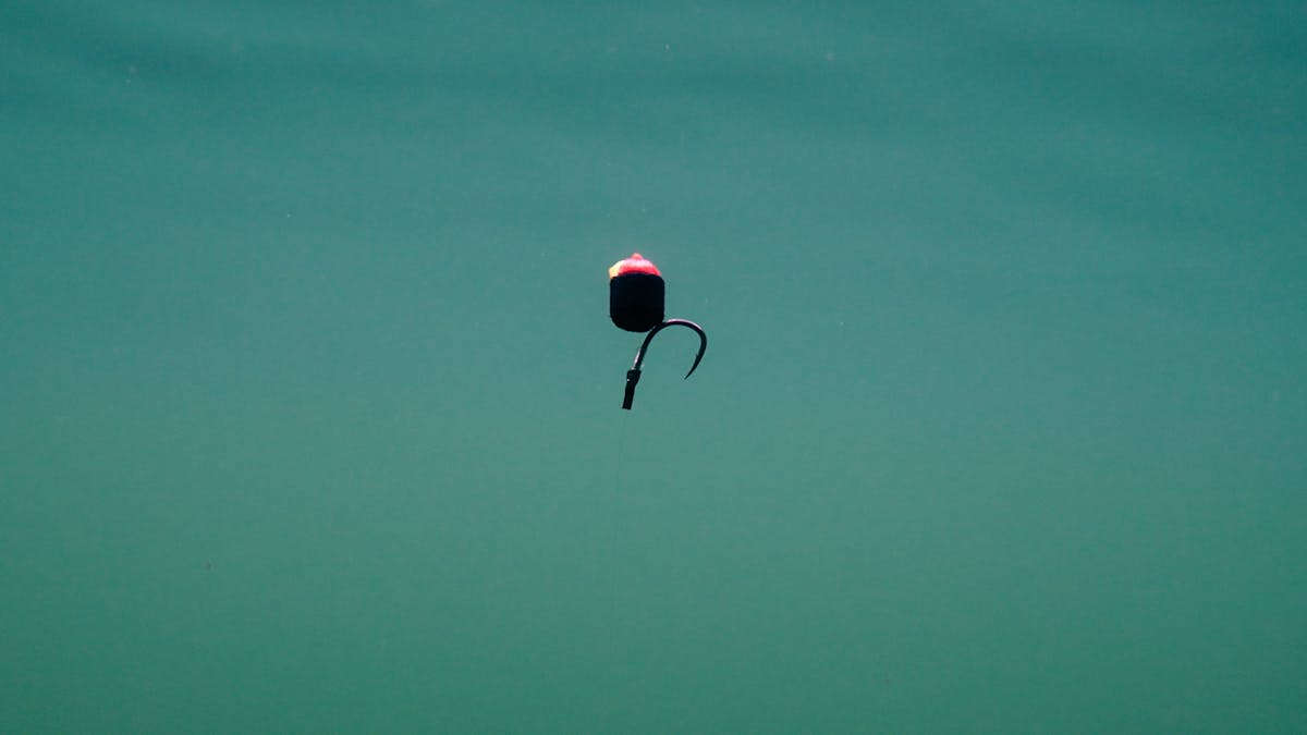 The float is far enough from the hookbait to be unobtrusive - midwater features prominently in where carp spend their time