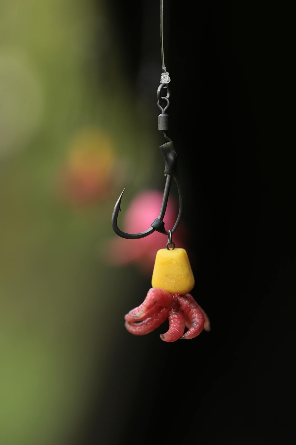 Baits such as rubber corn can be tipped with a few maggots to make them even more attractive to carp