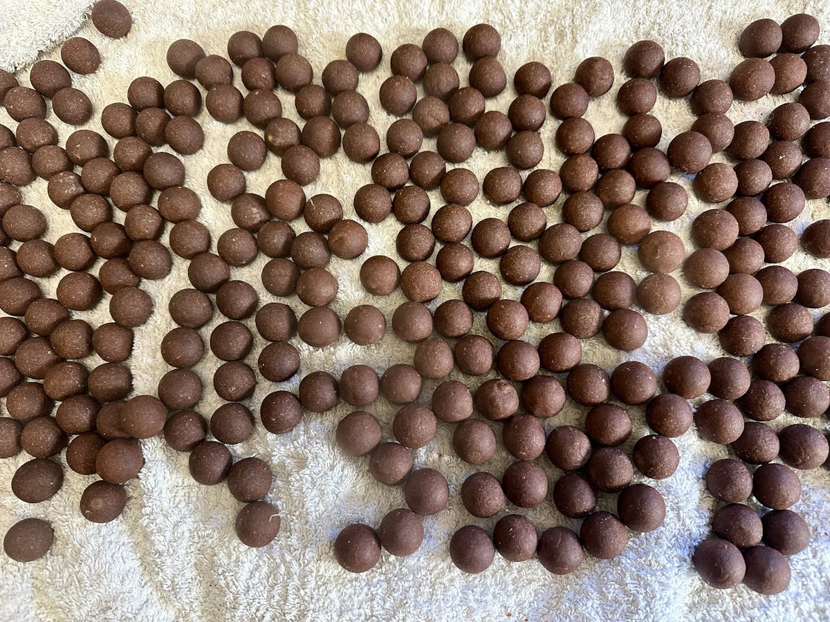 You can catch carp on all sorts of boilies, but certain carp boilies will catch fish all year round and others are more seasonal and could be best in the colder months