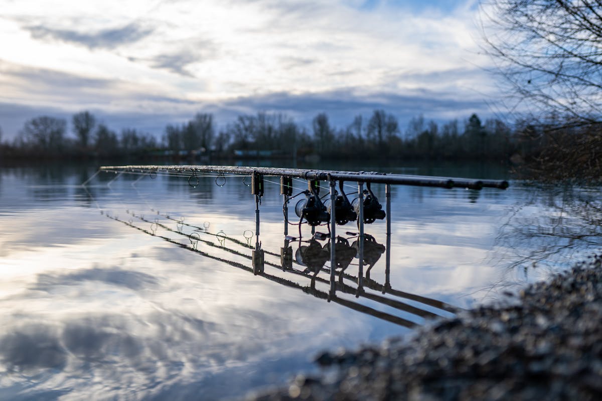 Heavier test curve rods are the norm these days, whichever size rod you choose