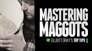 Elliot Gray Mastering Maggots