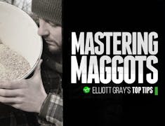Elliot Gray Mastering Maggots