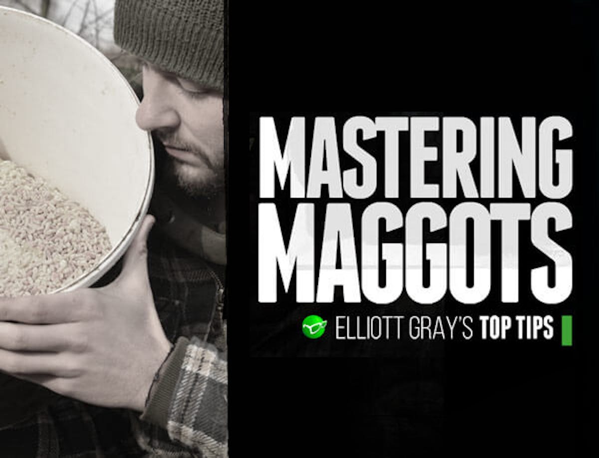 Elliot Gray Mastering Maggots