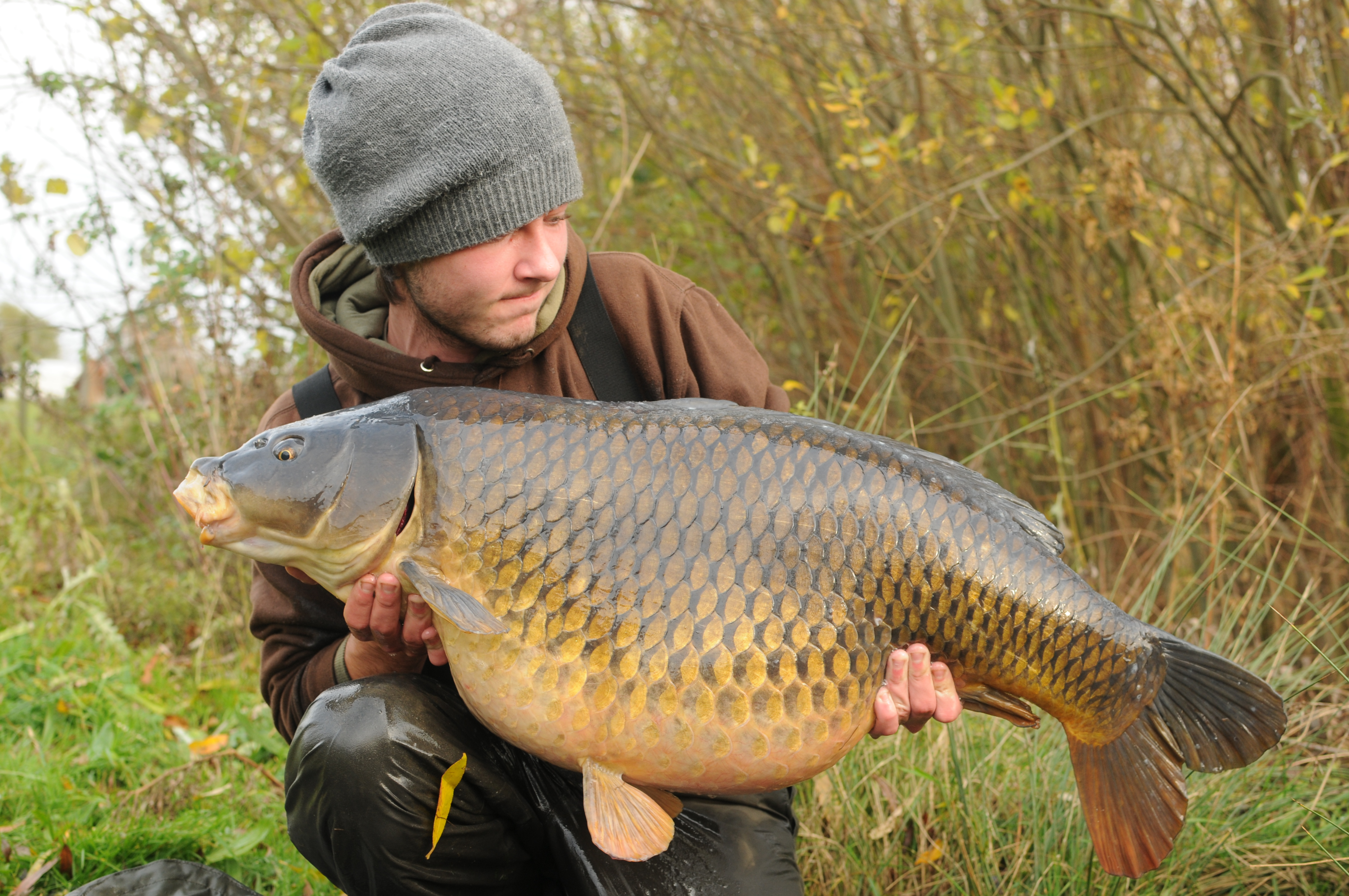 A Guide to the Withy Pool Rig | Korda