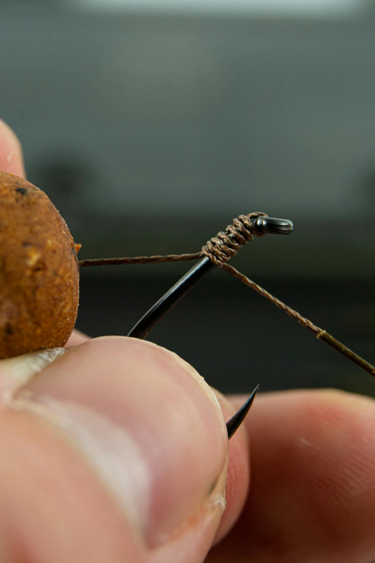 Carp rigs come in all different forms, including the stiff rig, hinge rigs, combi rigs, a blowback rig, but basic rigs like a knotless knot also work