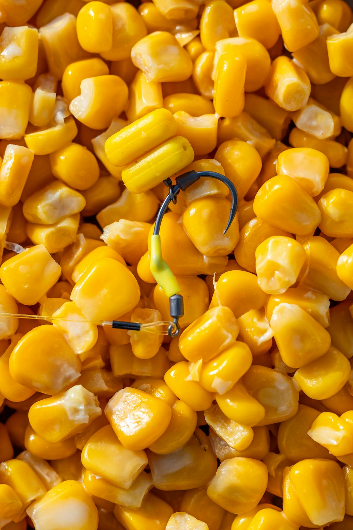 Korda Fake Foods are very versatile and can be made to blend in with your freebies