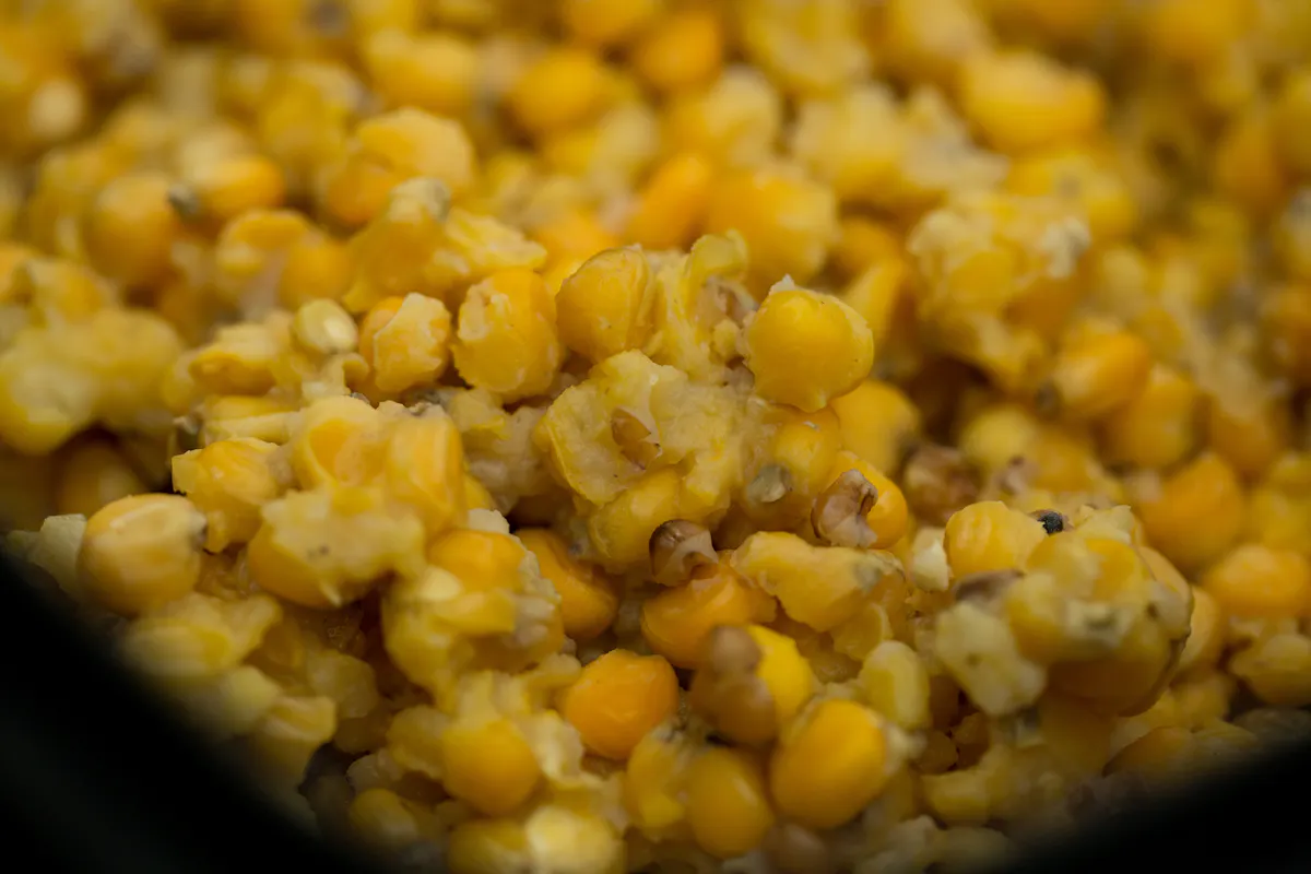 Corn and maize is a great option in any bait mix