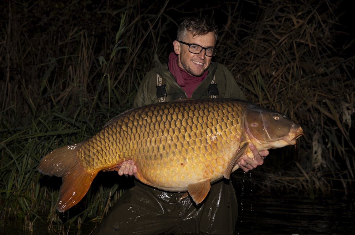 Even at night it is still possible to get good shots with the right settings and choice of background