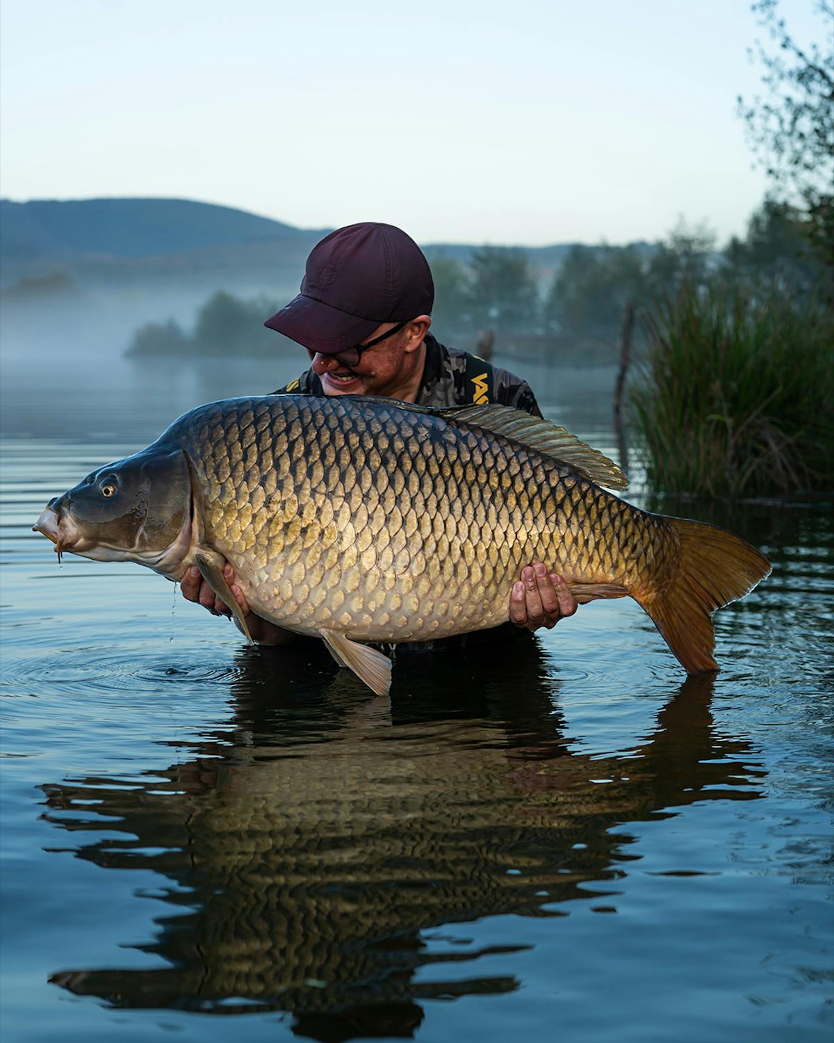 Longshank Beaked Hook