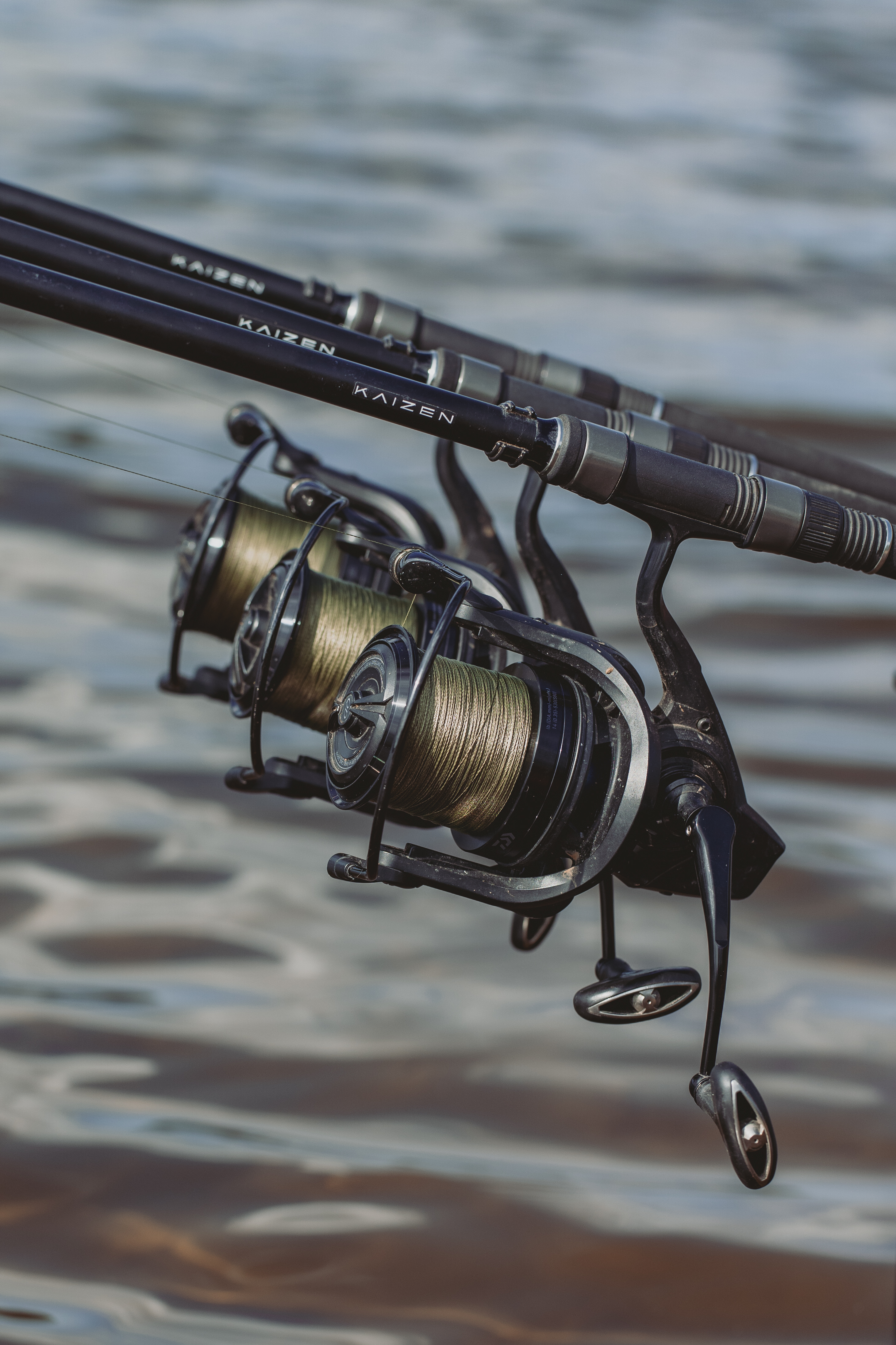 best carp rod and reel