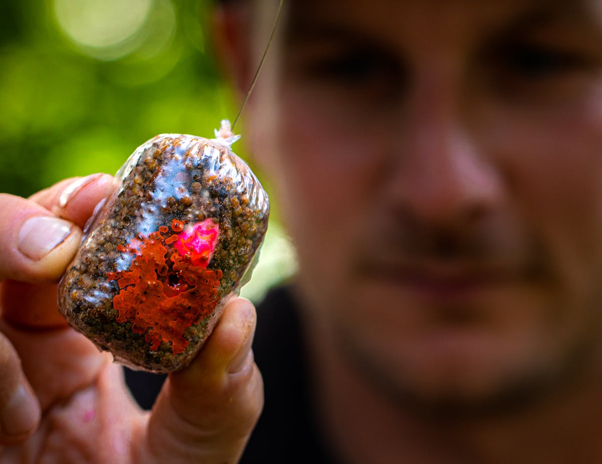A solid PVA bag is great for fishing in weed as it helps to flatten down any that it lands on and gives you a good presentation