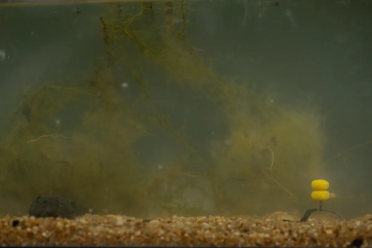 The way that you fish over hard gravel compared to silt will vary greatly