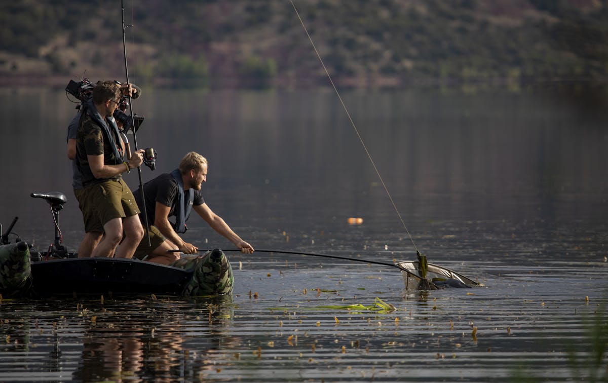 Unveiling The Future: Kaizen Green Carp Rods 2024