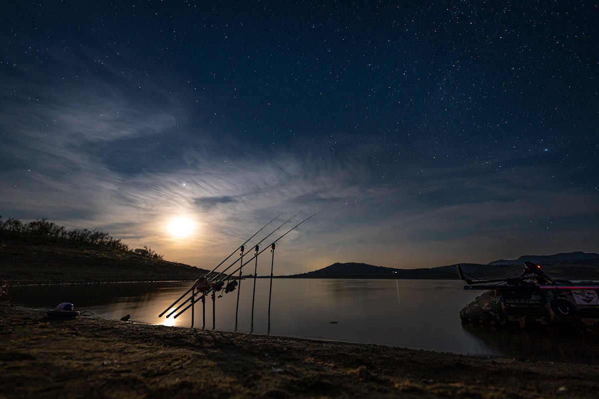 Getting the right night fishing ticket which gives you a chance of landing fish during your time on the bank is essential
